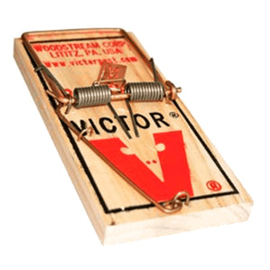 Ratonera Engomada para Rata 2 Pack D VICTOR VIC174/VIC773