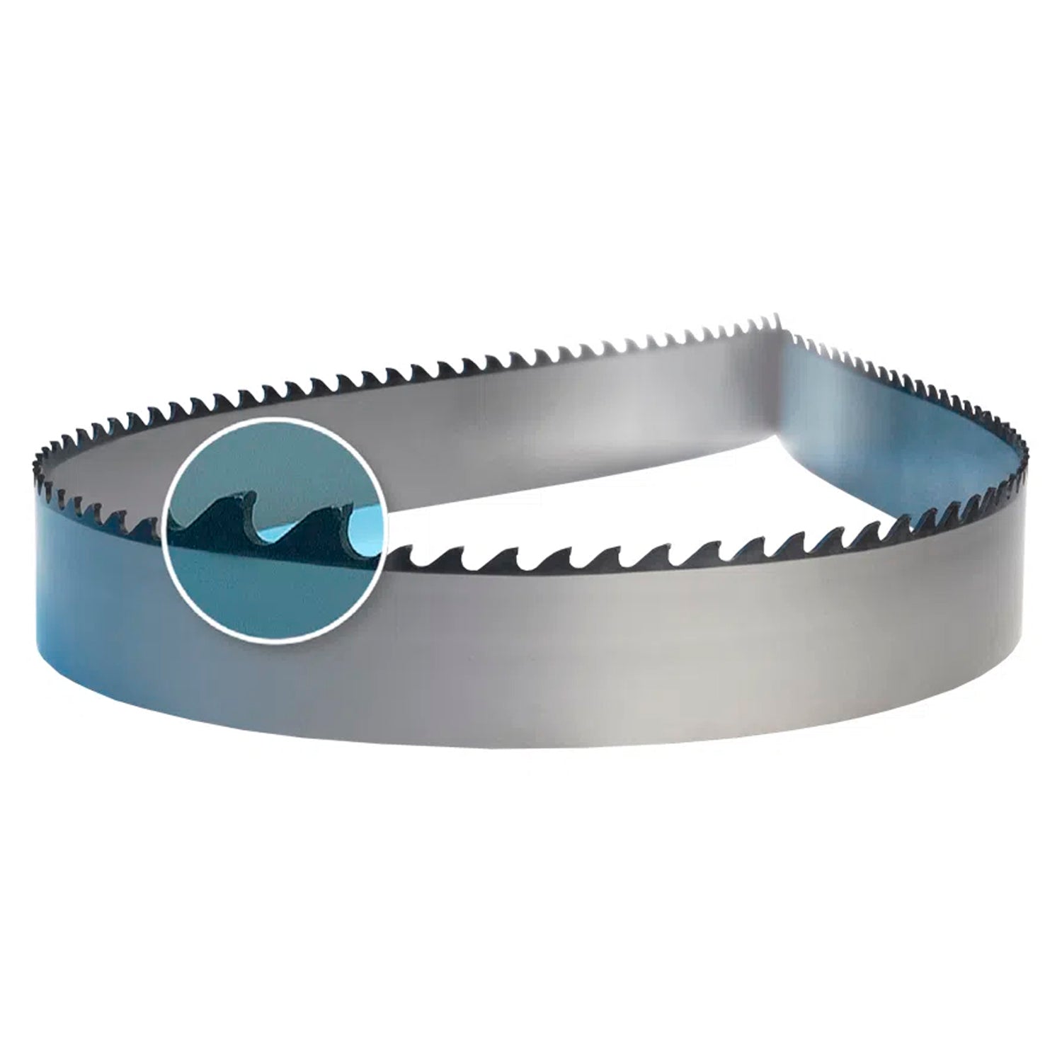 Sierra Cinta Scallop 3/4