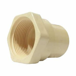 CONECTOR HEMBRA CPVC  1/2" FLOWGUARD PLOMACY (G2913/92012G)*