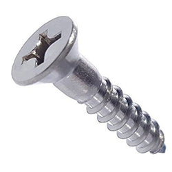 TORNILLO CABEZA PLANA PHILLIPS  3 X 6 MM  (TPMG03X006)  PROTOR