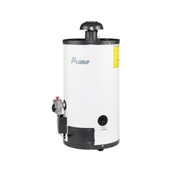 CALENTADOR DEPOSITO 60 LTS LP PRIMO (374223)