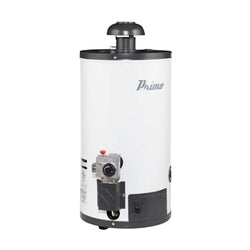CALENTADOR DEPOSITO 60 LTS NATURAL PRIMO (374224)