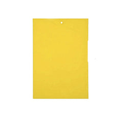 TRAMPA PAPEL ADHESIVO KTTA UNIDAD KITTA (114)