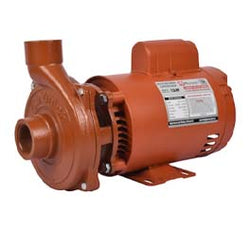 BOMBA CENTRIFUGA 110/220V  MUNICH 1.5HP (MOT1.5-2)