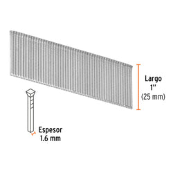 Báscula de Plataforma, Plegable 200 kg TRUPER (BAS-200PLA) (15732)