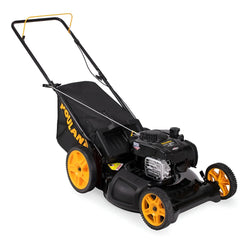 PODADORA A GASOLINA LLANTAS TD11"/8" BRIGGS & STRATTON