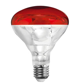 Lámpara Incandescente Tipo Reflector BR30 Rojo ADIR 6011